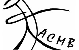 2 X 18 M MONTCEAU LES MINES